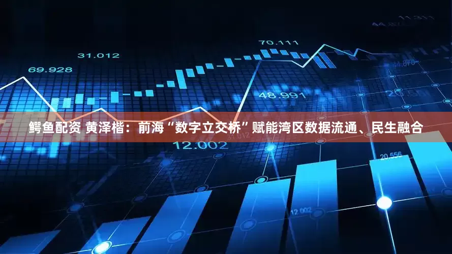 鳄鱼配资 黄泽楷：前海“数字立交桥”赋能湾区数据流通、民生融合