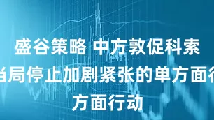盛谷策略 中方敦促科索沃当局停止加剧紧张的单方面行动