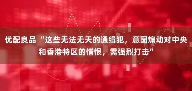 优配良品 “这些无法无天的通缉犯，意图煽动对中央和香港特区的憎恨，需强烈打击”