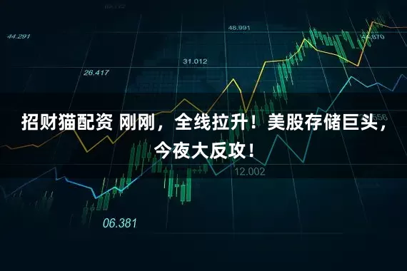 招财猫配资 刚刚，全线拉升！美股存储巨头，今夜大反攻！
