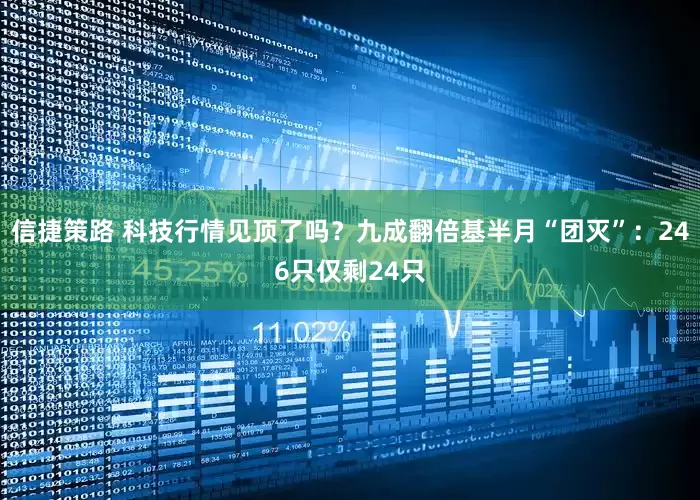 信捷策路 科技行情见顶了吗？九成翻倍基半月“团灭”：246只仅剩24只